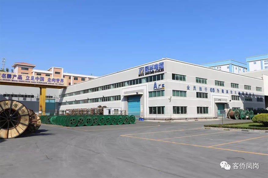 党建引航 | 坚守初心与使命——  ag亚娱电缆接受凤岗电视台采访和报道