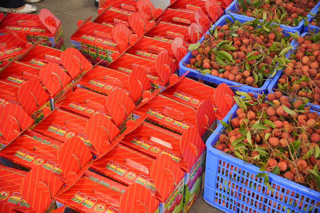 ag亚娱集团·(中国游)官方网站