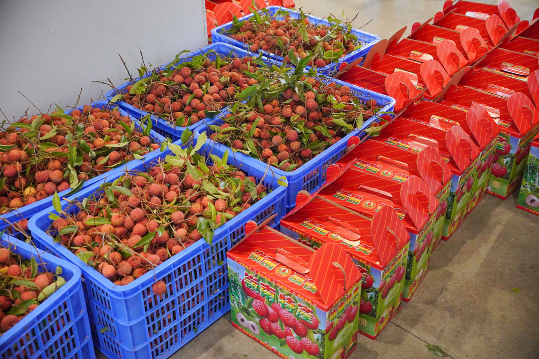 ag亚娱集团·(中国游)官方网站