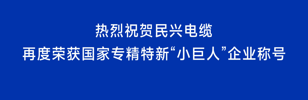 再获国家级认定！ag亚娱电缆蝉联国家专精特新“小巨人”企业称号